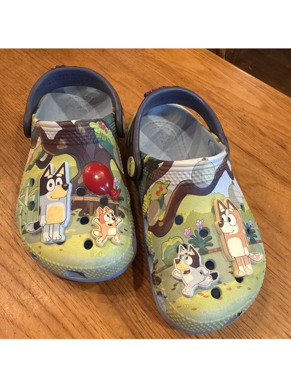 Kids Bluey-Themed Green & Blue Slip-On Clog Shoes for Kids C10 EC W/ Jibbitz